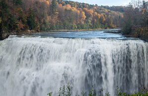 image-85