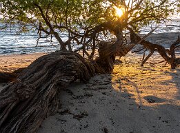turkscaicos Sunset on the beach, Turks and Caicos Islands