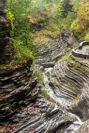 watkinsglen Watkins Glen, NY