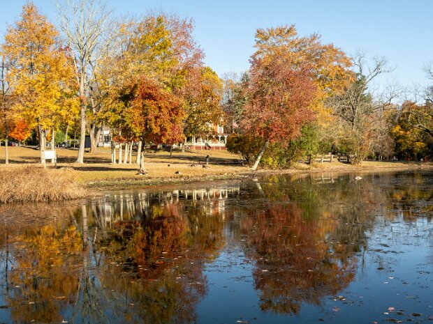 Autumn