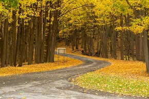 curve Winding fall road