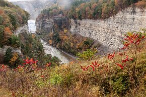 gorge At Letchworth State Park, NY