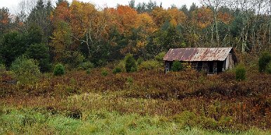 shack Abandoned shack, Delaware Water Gap