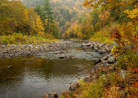 worlds-end Worlds End State Park, Pennsylvania