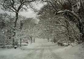 snow-street The sense of quietness left by heavy snow is aerily satisfying!