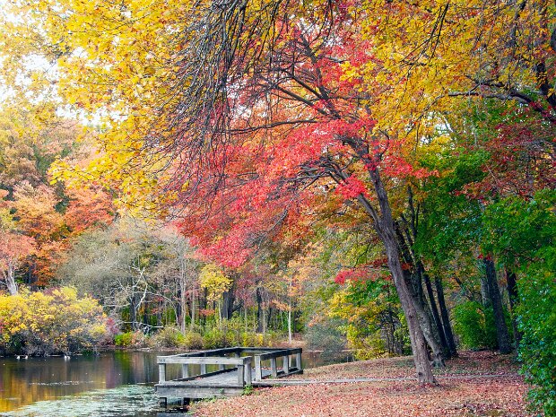 Seasons