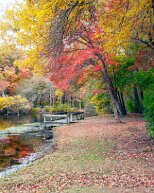 colors Fall colors at Caleb Smith State Park, Long Island