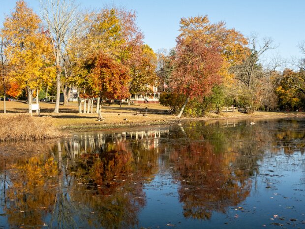 Autumn