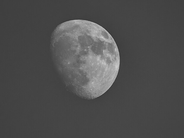 Moon Moon