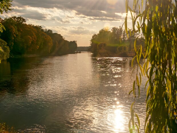 Nature Nature
